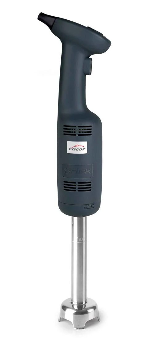 Mixeur plongeur professionnel 16 cm vitesse fixe ou variable