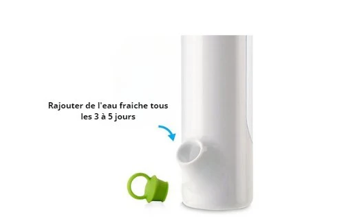 BOITE DE CONSERVATION POUR HERBES AROMATIQUES FRAICHES - KEEPHERB™