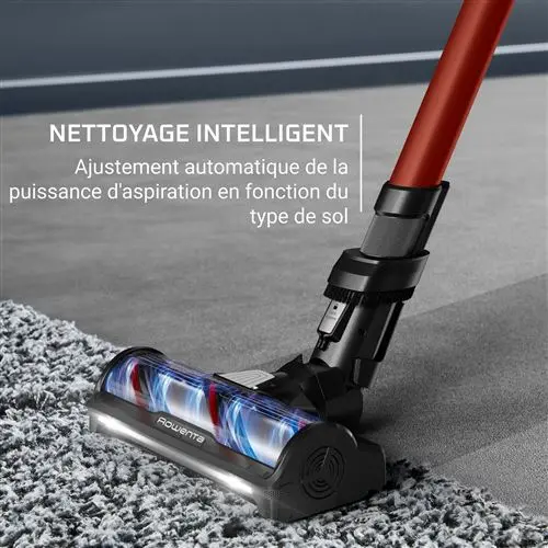 Rowenta Aspirateur balai X-Force Flex 13.60 Kit Animal