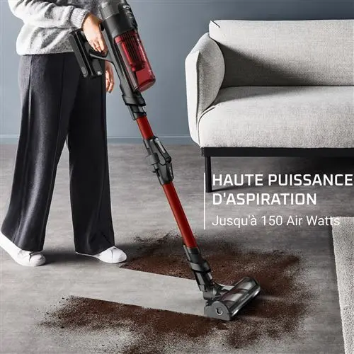 Rowenta Aspirateur balai X-Force Flex 13.60 Kit Animal