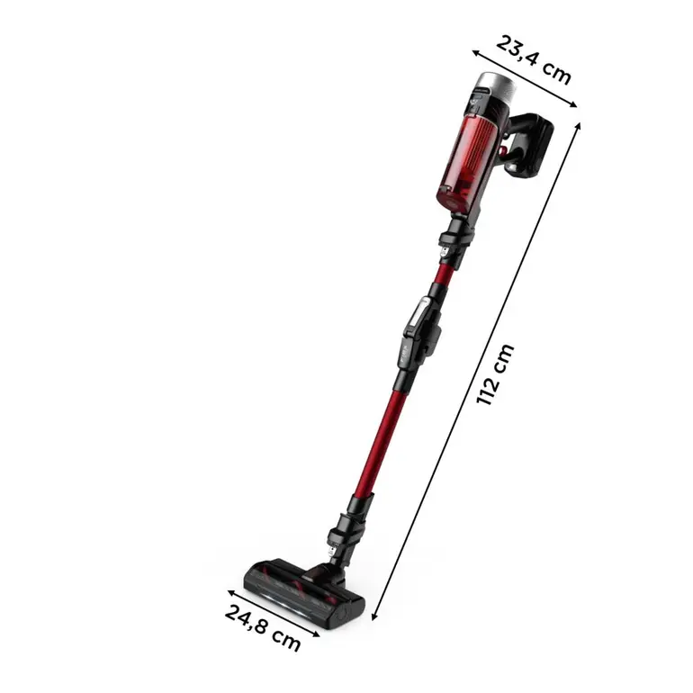 Rowenta Aspirateur balai X-Force Flex 9.60 Kit Animal