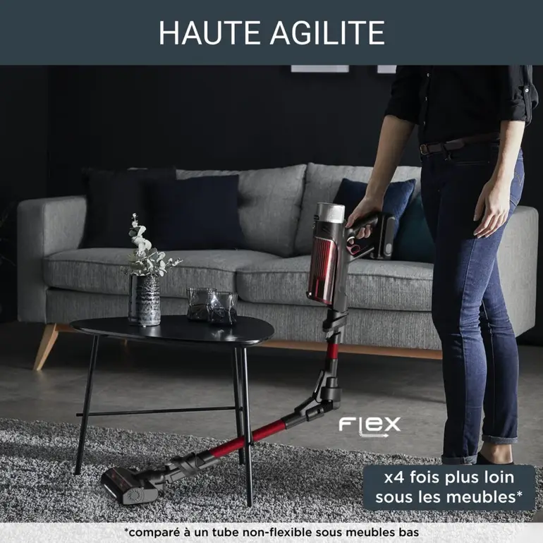 Rowenta Aspirateur balai X-Force Flex 9.60 Kit Animal