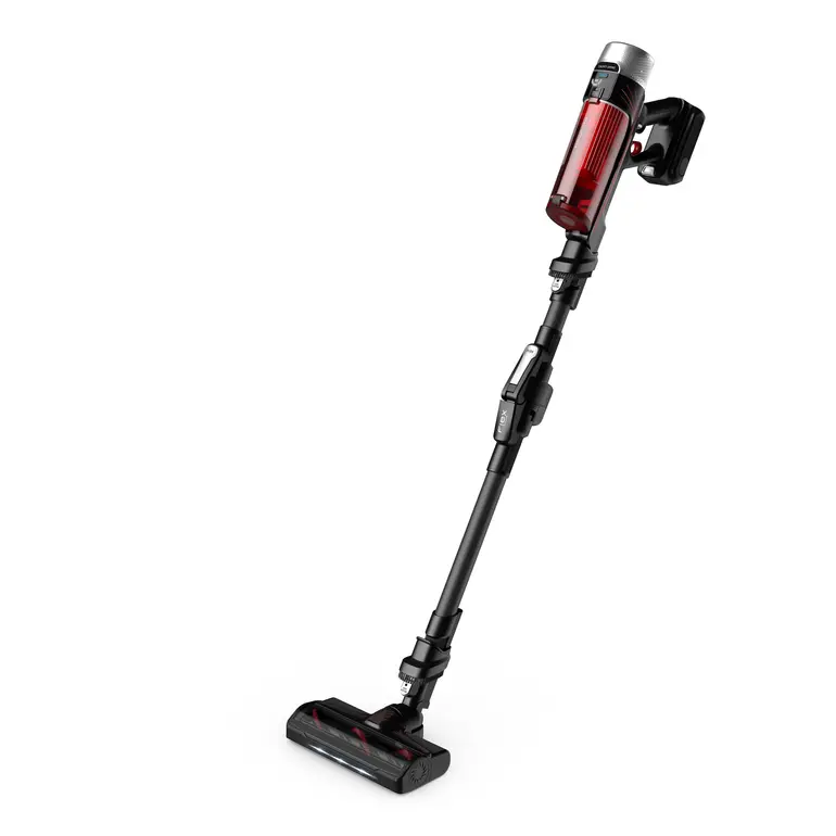 Rowenta Aspirateur balai X-Force Flex 9.60 Kit Animal