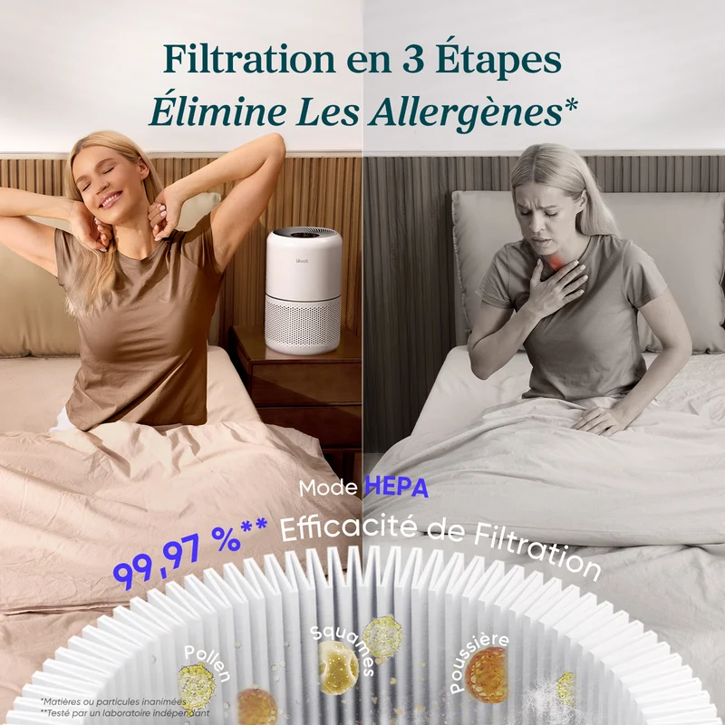Levoit purificateur d'air Core 300