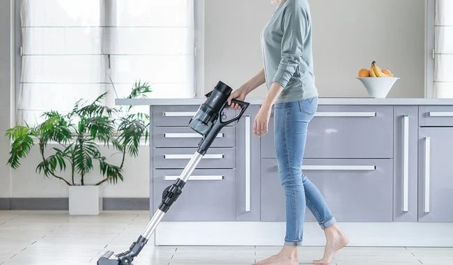 Eziclean Aspirateur balai Cycloboost FR15 Animal