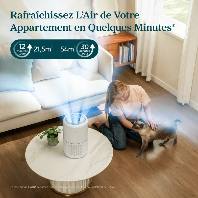 Levoit purificateur d'air Core 300S