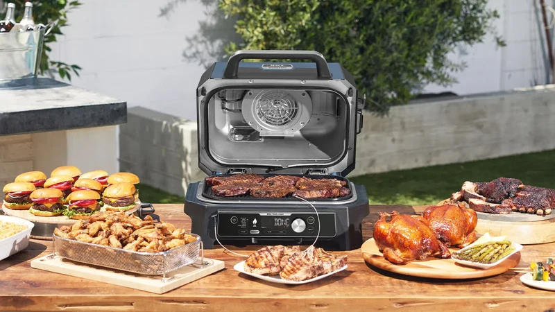 Ninja Barbecue électrique et fumoir Woodfire Pro Connect XL