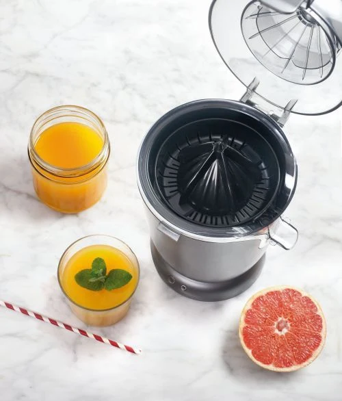 Presse fruit électrique inox