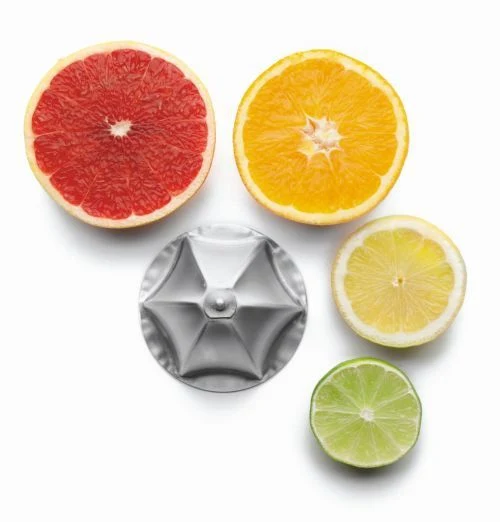 Presse-fruits électrique professionnel en inox et aluminium