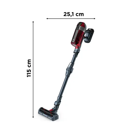 Rowenta X-Force Flex 11.60 Animal Kit