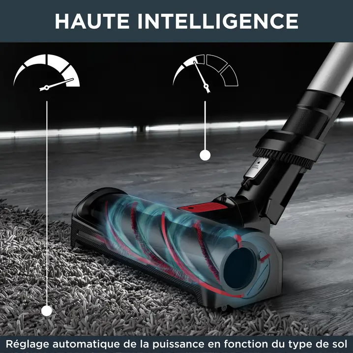 Rowenta X-Force Flex 12.60 Animal Kit