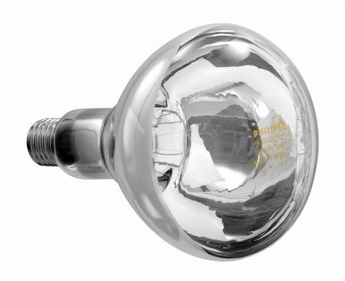 Ampoule infrarouge Philips pour lampe chauffante - Verre transparent
