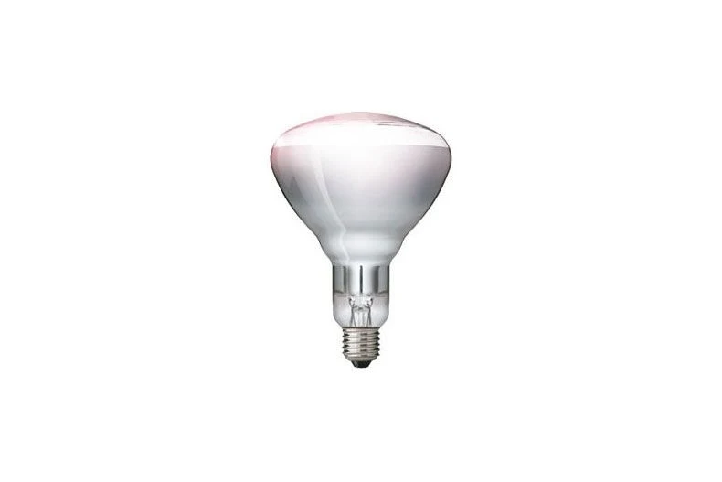 Ampoule chauffante 250W blanche