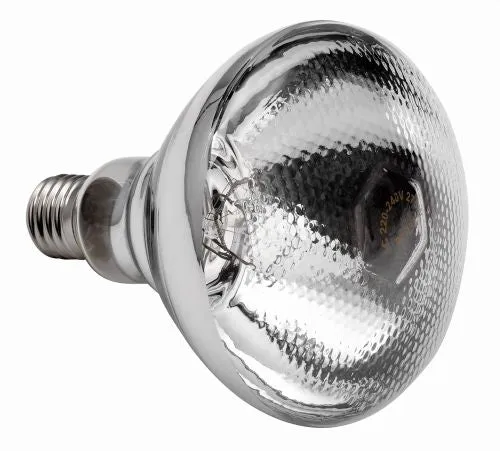Ampoule infrarouge pour lampe chauffe plat – Verre clair