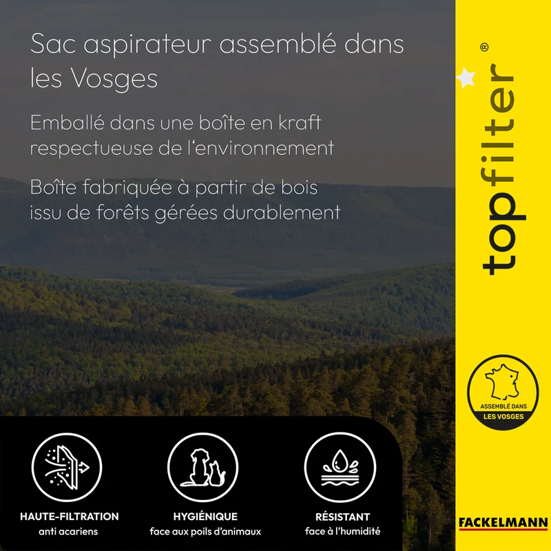 Lot de 4 packs de 2 sacs aspirateur 64012 Bluesky et Gisowatt TopFilter Premium