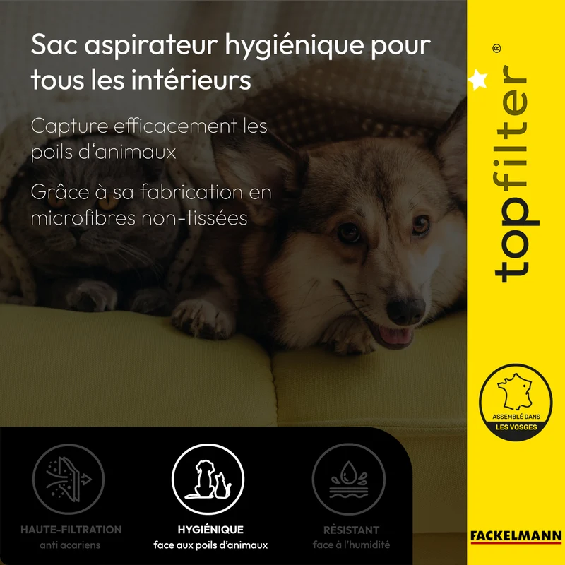 Lot de 4 sacs aspirateur pour Electrolux et Tornado TopFilter Premium