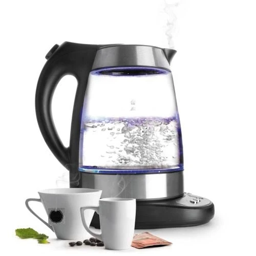 Bouilloire électrique en verre à température réglable