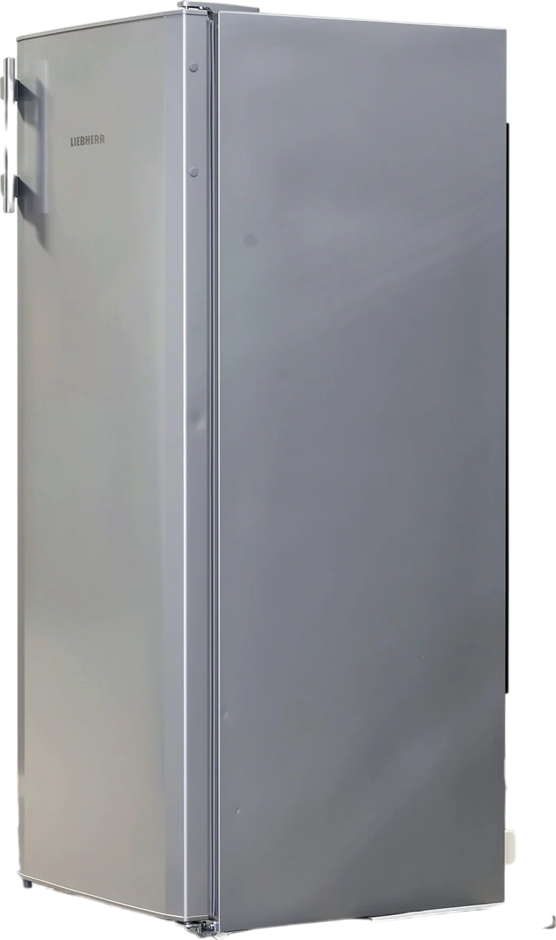 Réfrigérateur Avec Congélateur 251 Litres Reconditionné LIEBHERR KPsle290-26