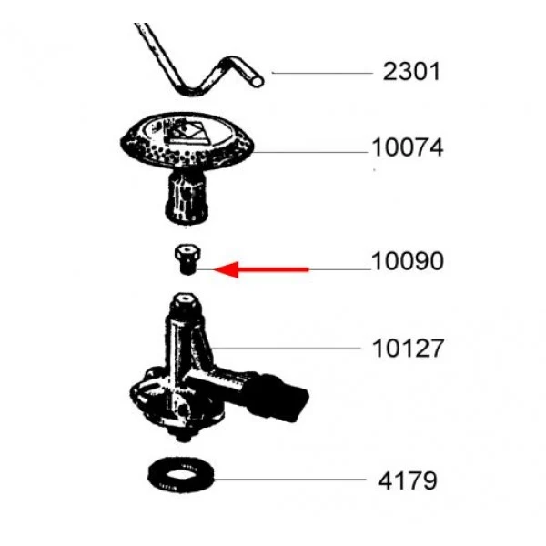 INJECTEUR SERVICE + PARTY GRILL - CAMPINGAZ 10090