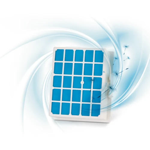 Filtre hygiénique UltraAllergy BOSCH BBZ156UF