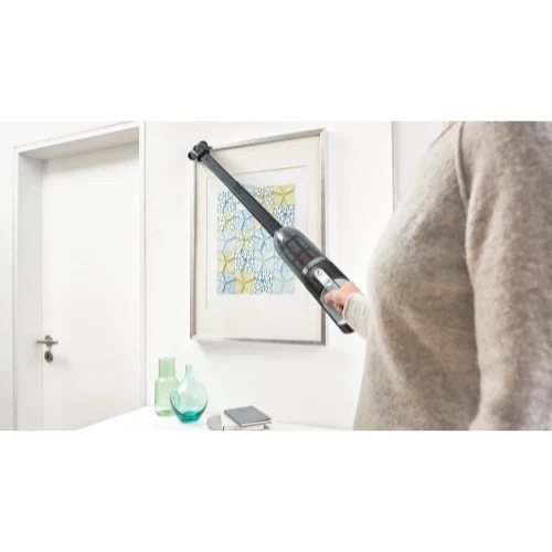 Série 4, Aspirateur rechargeable, Flexxo 28Vmax ProAnimal, Rouge BOSCH BBH3ZOO28